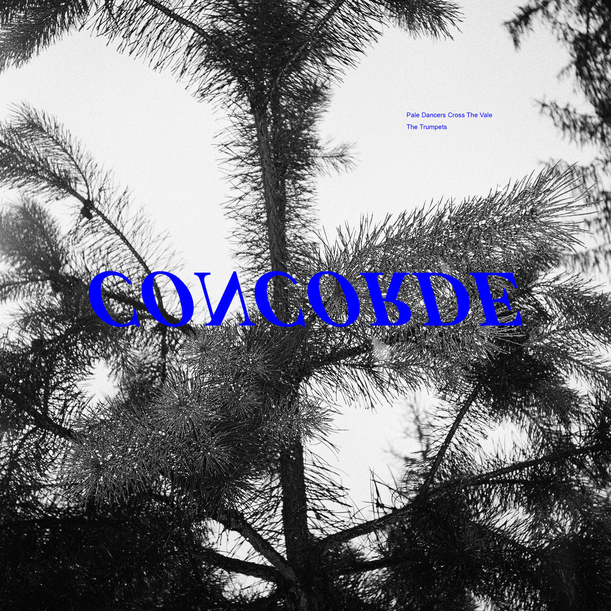 Artwork for Concorde